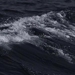 日逼欧美激情免费
